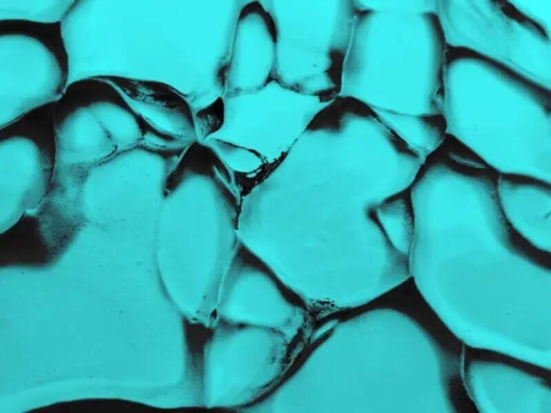 Transformative Teal